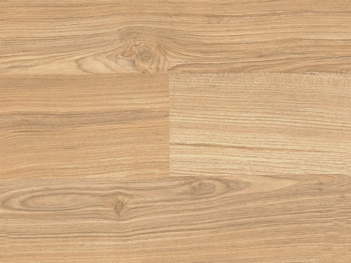 75̖(h��o)�pƴ��(j��ng)����ľ