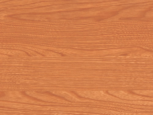 5̖(h��o)��ľ