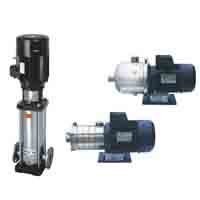 ���P��Pʽ��