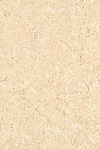 ����ϵ��